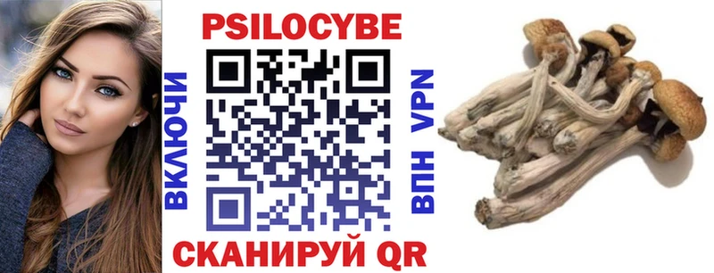 Псилоцибиновые грибы прущие грибы  Камбарка 